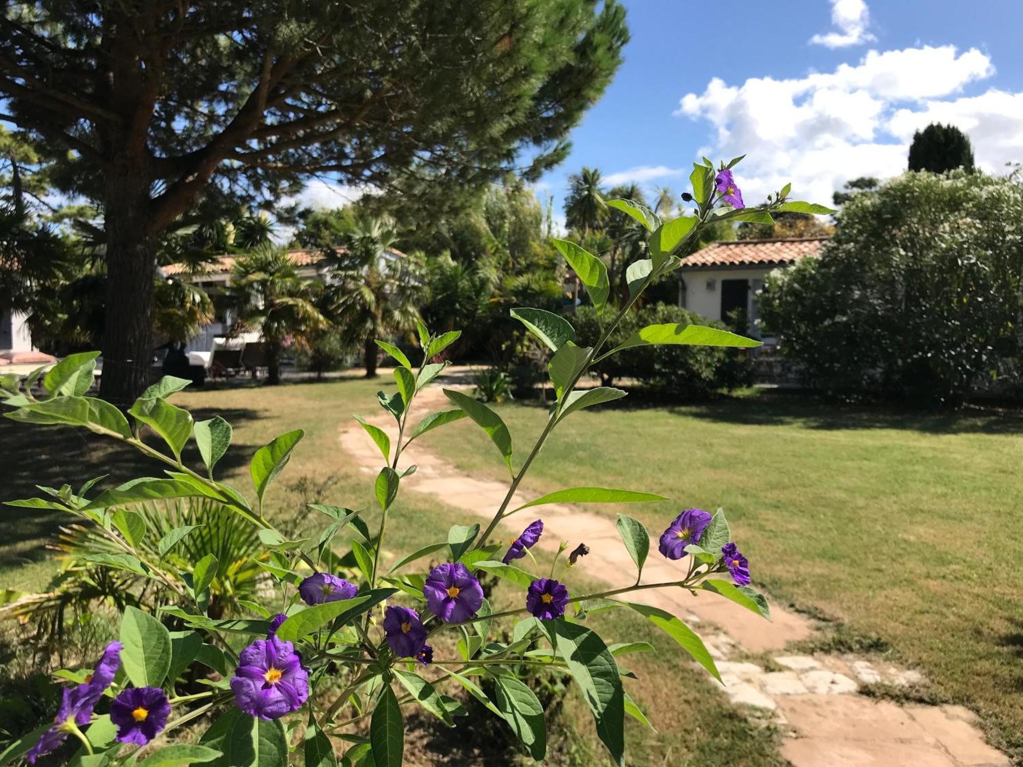 Bed and Breakfast Le Jardin Des Portes Les Portes-en-Re Exteriér fotografie